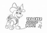 Cool Winsome Free Printable Paw Patrol Coloring Pages Best Of With  sketch template