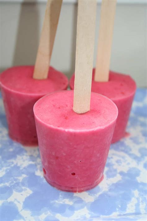 Homemade Summer Popsicles - Jill Castle