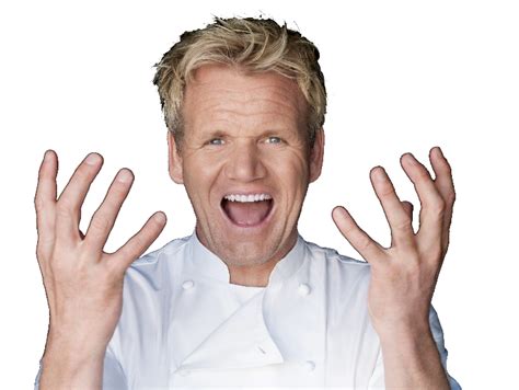 Funny Unique Memes: Gordon Ramsay Chef, Television Personality ...