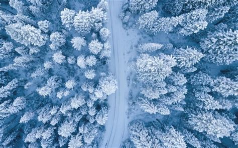 Download wallpapers winter, forest, snow, road in the forest, aerial view, forest view from ...