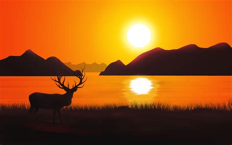 Sunset Deer Silhouette 4K Wallpapers | HD Wallpapers | ID #25094