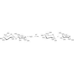 Invert Sugar Syrup - Manufacturers, Suppliers & Wholesalers