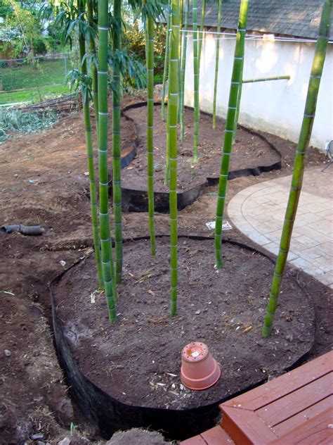 Bamboo barrier installations – Artofit