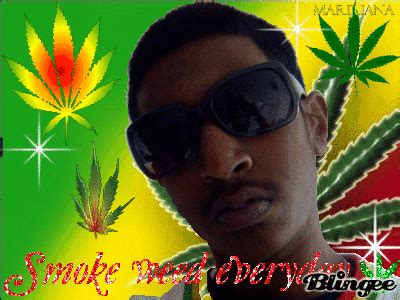 smoke weed everyday | Tag | PrimoGIF