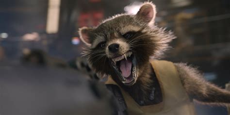 Clues to Rocket Raccoon's Creator Hidden in Guardians of the Galaxy Vol. 2