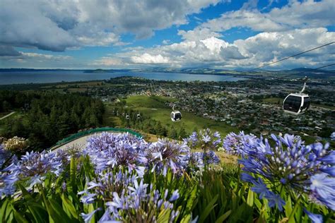 Rotorua New Zealand: An Introduction | NZ Travel Organiser