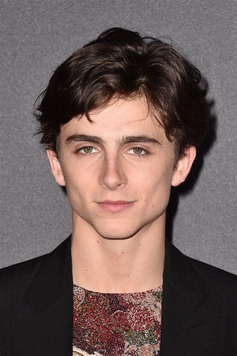 When I perish, I would prefer the cause of my death to be impalement | An Ode to Timothée ...