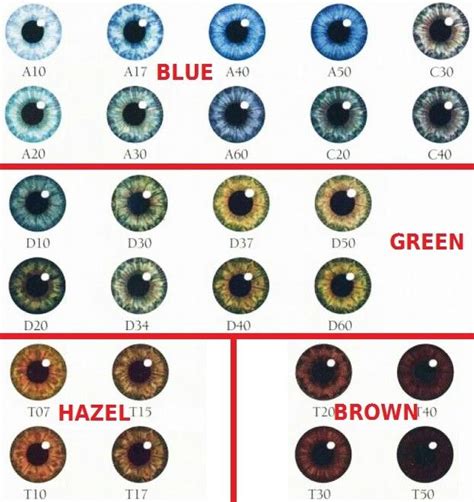 Pin by Jessica GA on Genética | Eye color chart, Cat eye colors, Color magic