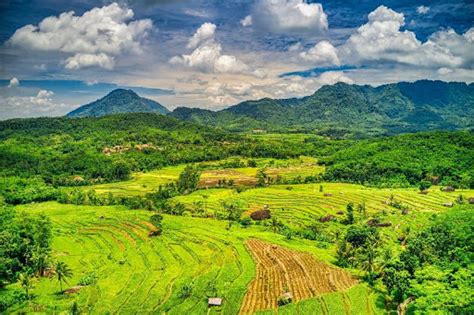 Daya Tarik Indonesia di Mata Dunia Selain Keindahan Alamnya