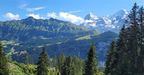 Visiting the Swiss Alps in the Summer - Day Trip Tips