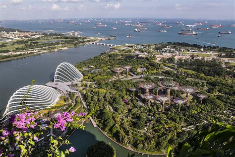 Singapore, Singapore City, Gardens By The Bay Digital Art by Kate ...