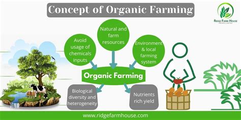 Review Of Organic Farming Information System Ideas