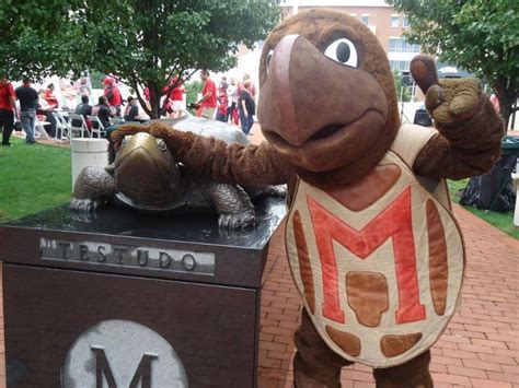 Maryland Terrapins Nickname and Mascot