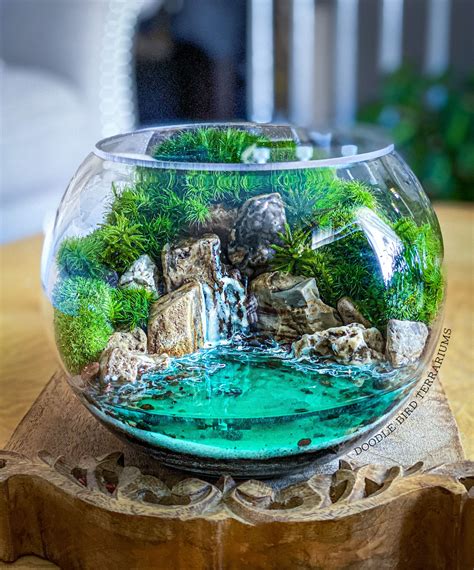 Ocean Cove Terrarium with Live Plants | Beautiful terrariums, Terrarium scene, Terrarium