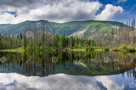 Tatra Mountains stock photo. Image of leisure, peak - 302182998