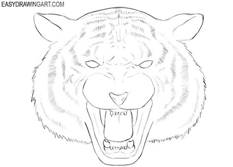 How to Draw a Tiger Head | Easy Drawing Art | Rosto de tigre, Desenho de rosto de tigre, Desenho ...