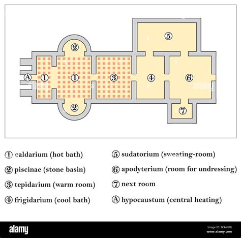 floor plan of a roman bath, Thermae Stock Vector Image & Art - Alamy