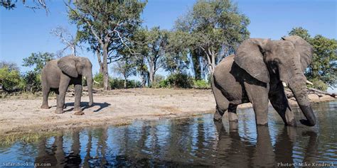 Where to See Elephants in Africa – the Top 5 Best Safari Destinations to See Elephants ...