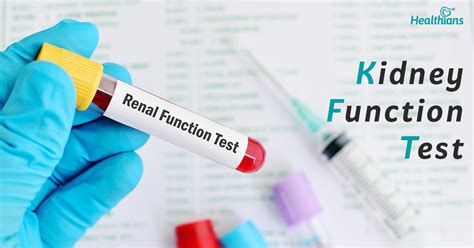 Kidney Function Test @Home: Purpose, Types, When to do - Healthians