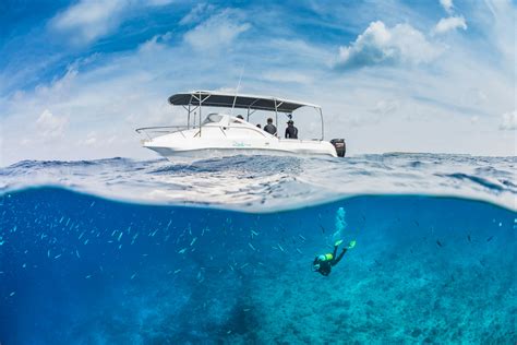 Scuba diving in Alphonse, Desroches and the Amirante Islands | ZuBlu