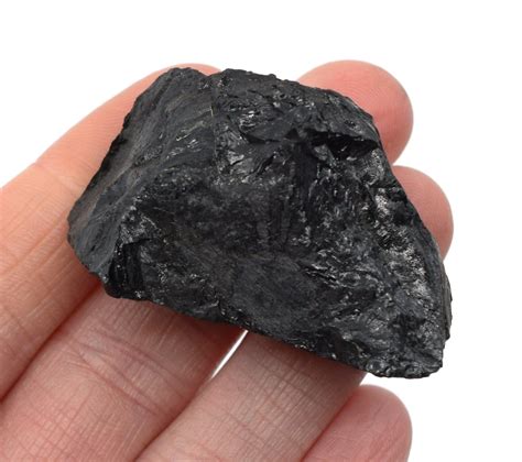 Raw Bituminous Coal, Sedimentary Rock Specimen, ± 1" | Bituminous coal, Sedimentary rocks ...