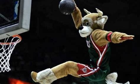 VIDEO: Insane Mascot Dives Off 20ft Ladder, Does A Backflip Somersault ...