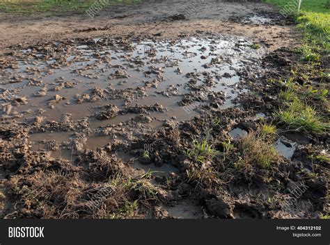 Puddles Mud First Image & Photo (Free Trial) | Bigstock