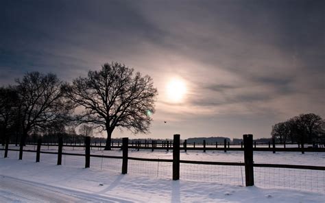 snow, Fence, Nature, Winter, Trees Wallpapers HD / Desktop and Mobile Backgrounds