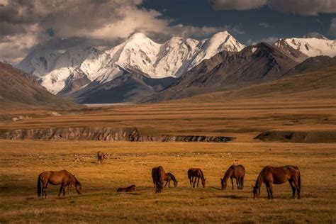 My 29 Photos Of Kyrgyzstan, The Hidden Gem Of Central Asia | Beautiful landscapes, Landscape ...