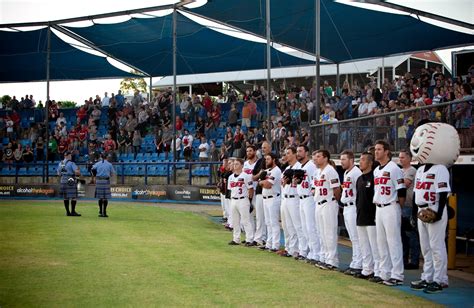 How Much Do Australian Baseball League Players Make - BaseBall Wall