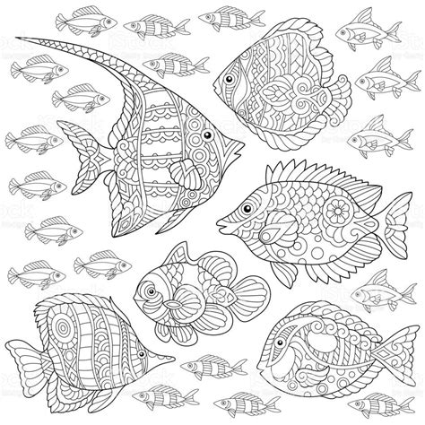 47+ Tropical Fish Coloring Pages For Adults PNG - COLORIST