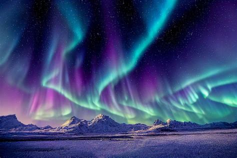 L'aurora boreale e l'aurora australe: cosa sono e perché assumono colori diversi | FOTO