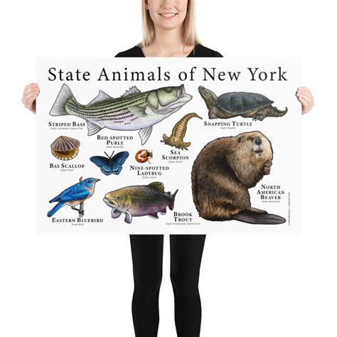 New York State Animals Poster Print | Etsy