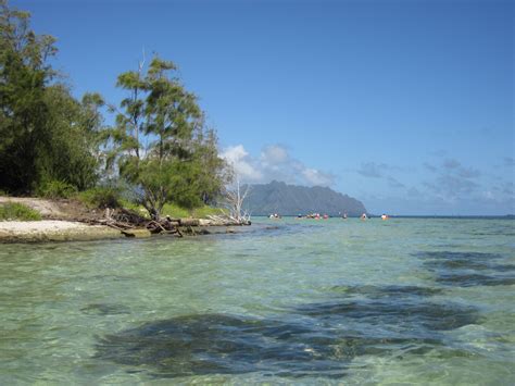 coconut island | Hawaii beaches, Beach, Island