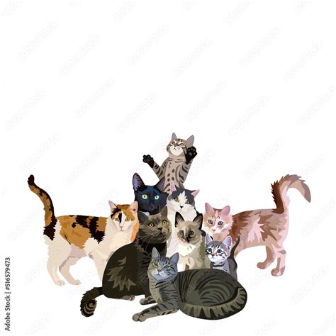 Group consisting of cats of different breeds isolated on white ...