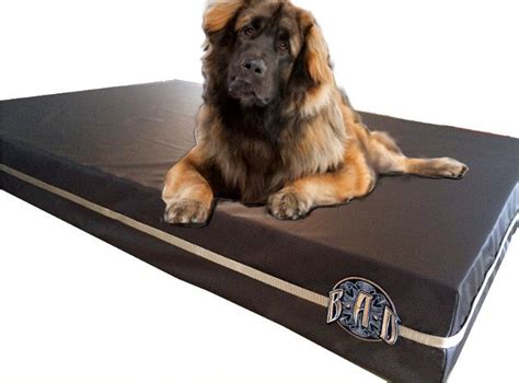 Dark Brown XL Chew proof dog bed - the best dog bed for destructive ...