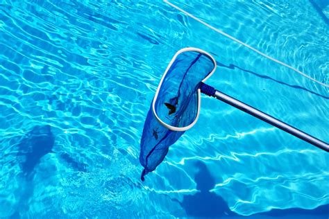 How Often Should You Clean a Swimming Pool? - Intec America Corporation