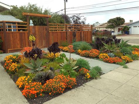 Farallon Gardens: Alameda Drought Tolerant Garden. February Blooms! | Drought tolerant garden ...