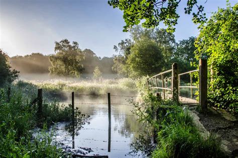 Meon Views Archives - Out To Grass Photography