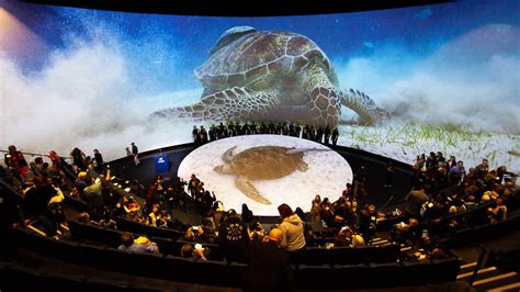 Aquarium of the Pacific | Things to do in Long Beach, Los Angeles