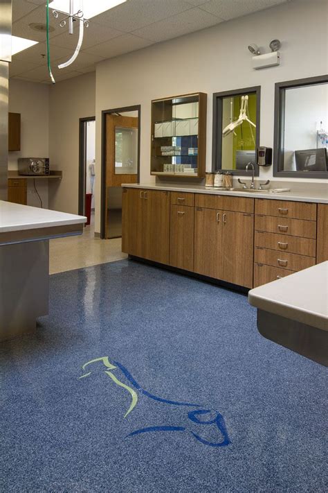 Countryside Veterinary Center – RWE Management Company | Hospital design, Clinic design, Veterinary