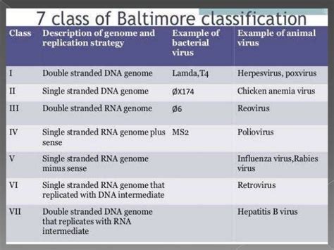 Classification of dna virus ppt