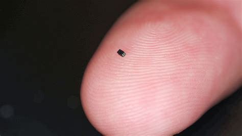 World's smallest camera is the size of a grain of sand