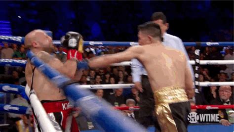 Boxers GIFs - Find & Share on GIPHY