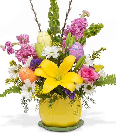 Easter Lilies, Floral Designs & Gifts - Walter Knoll Florist