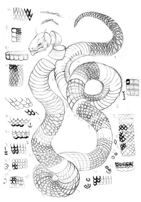 How To Draw Scales Snake Drawing Scale Drawing Snake Art | Images and ...