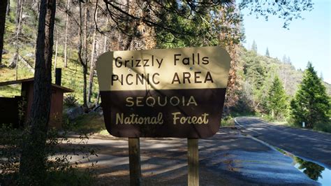 11 Best Spots for Sequoia National Park Camping