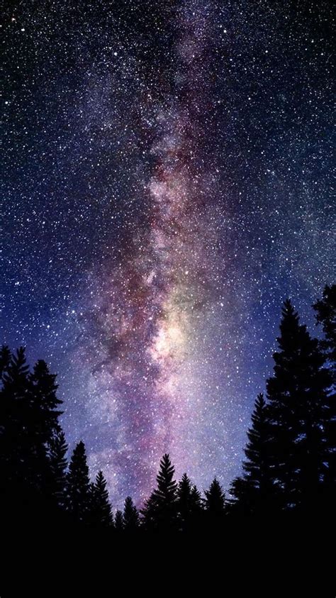 Cool Galaxy Wallpaper: Forest Landscape and Starry Sky