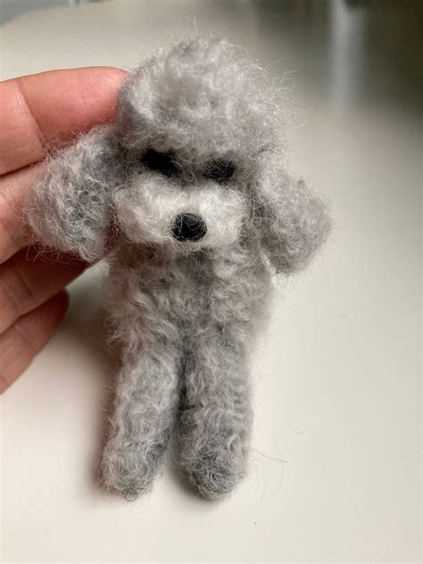 Grey Toy Poodle