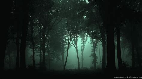 Dark Foggy Forest Wallpapers Nature Wallpapers Desktop Background